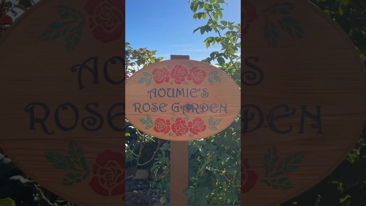 November 24 - December 1, 2023 "Sign Projects" Contest #shorts